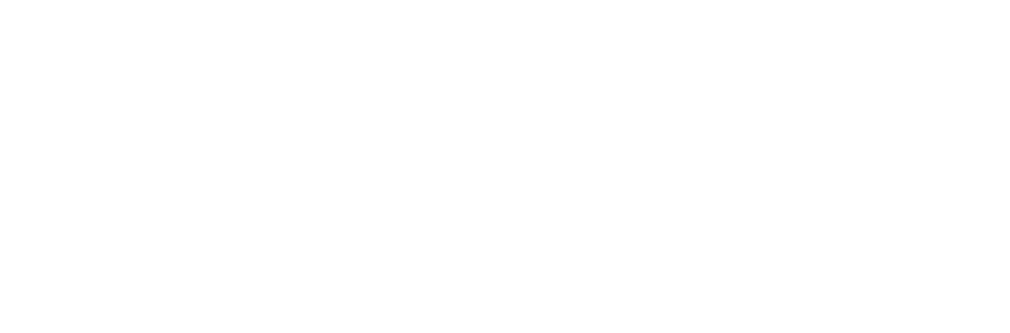 VANECK RACING